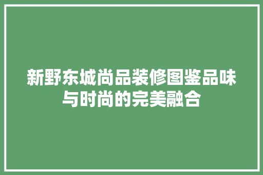 新野东城尚品装修图鉴品味与时尚的完美融合
