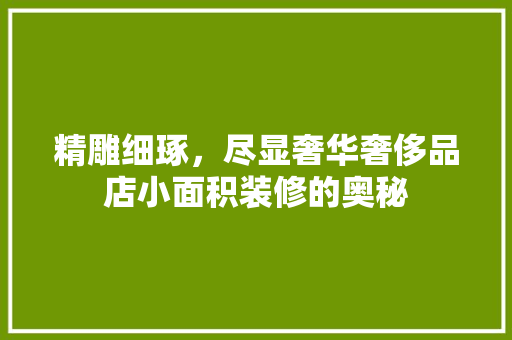 精雕细琢，尽显奢华奢侈品店小面积装修的奥秘