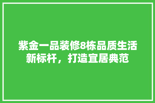 紫金一品装修8栋品质生活新标杆，打造宜居典范