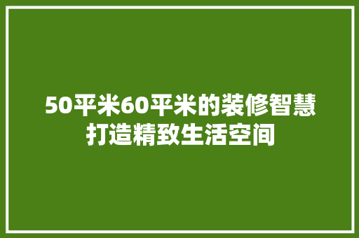 50平米60平米的装修智慧打造精致生活空间