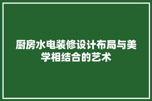 厨房水电装修设计布局与美学相结合的艺术