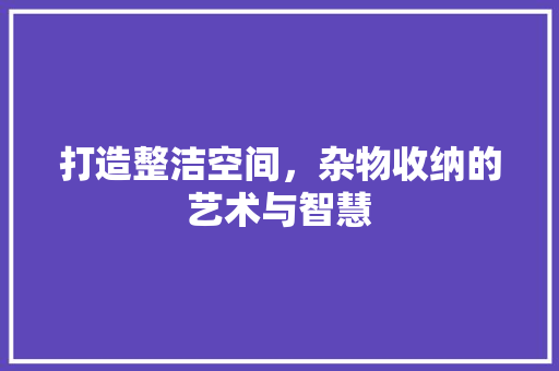 打造整洁空间，杂物收纳的艺术与智慧