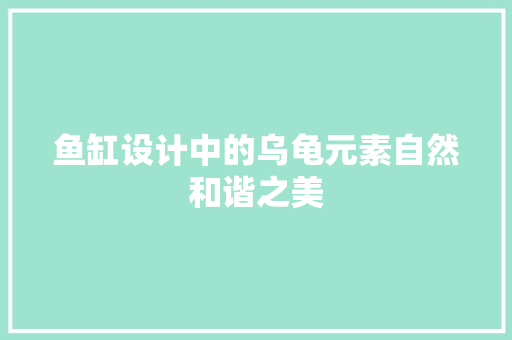 鱼缸设计中的乌龟元素自然和谐之美