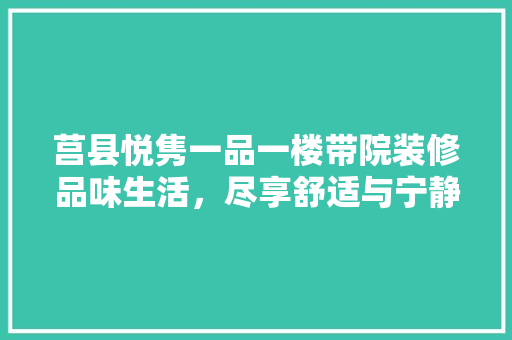 莒县悦隽一品一楼带院装修品味生活，尽享舒适与宁静