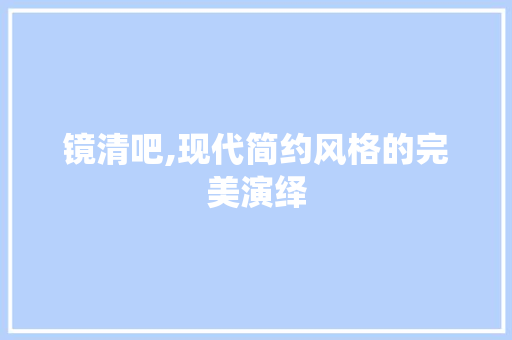 镜清吧,现代简约风格的完美演绎