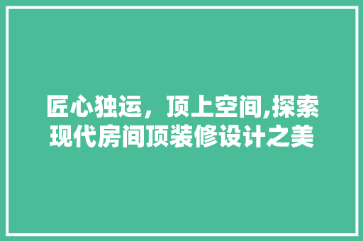 匠心独运，顶上空间,探索现代房间顶装修设计之美