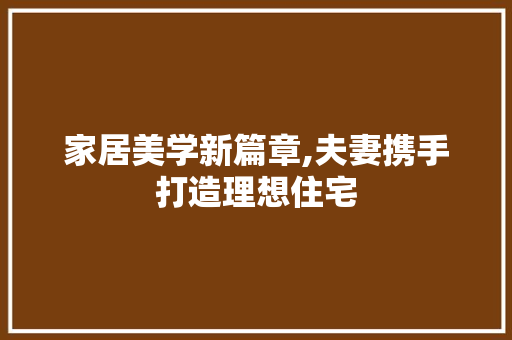 家居美学新篇章,夫妻携手打造理想住宅