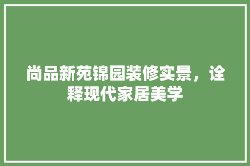 尚品新苑锦园装修实景，诠释现代家居美学