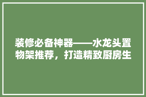 装修必备神器——水龙头置物架推荐，打造精致厨房生活