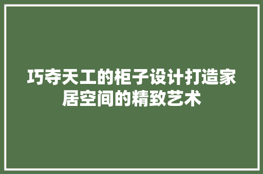 巧夺天工的柜子设计打造家居空间的精致艺术