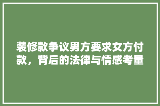 装修款争议男方要求女方付款，背后的法律与情感考量