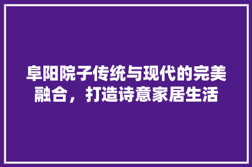 阜阳院子传统与现代的完美融合，打造诗意家居生活