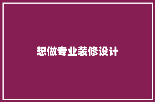 想做专业装修设计