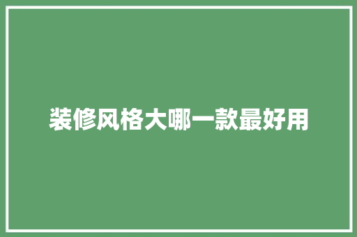 装修风格大哪一款最好用