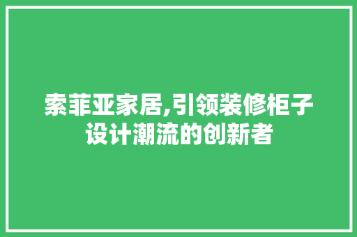 索菲亚家居,引领装修柜子设计潮流的创新者