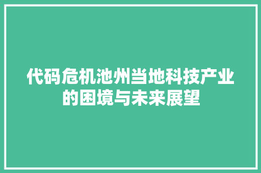代码危机池州当地科技产业的困境与未来展望