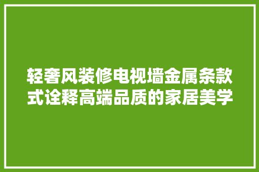 轻奢风装修电视墙金属条款式诠释高端品质的家居美学