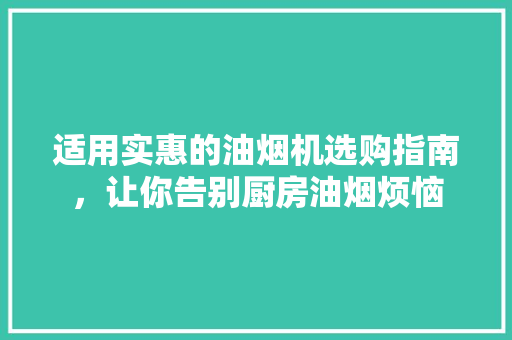 适用实惠的油烟机选购指南，让你告别厨房油烟烦恼