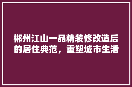 郴州江山一品精装修改造后的居住典范，重塑城市生活品质