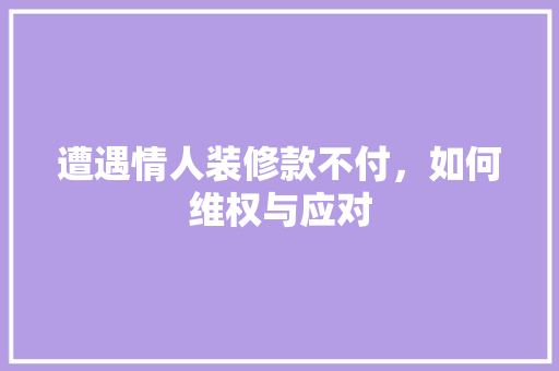 遭遇情人装修款不付，如何维权与应对